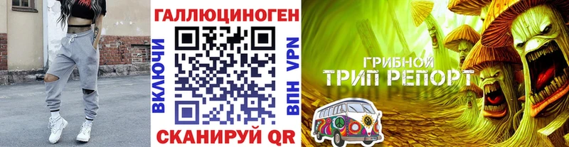 Галлюциногенные грибы Magic Shrooms  Новоуральск 